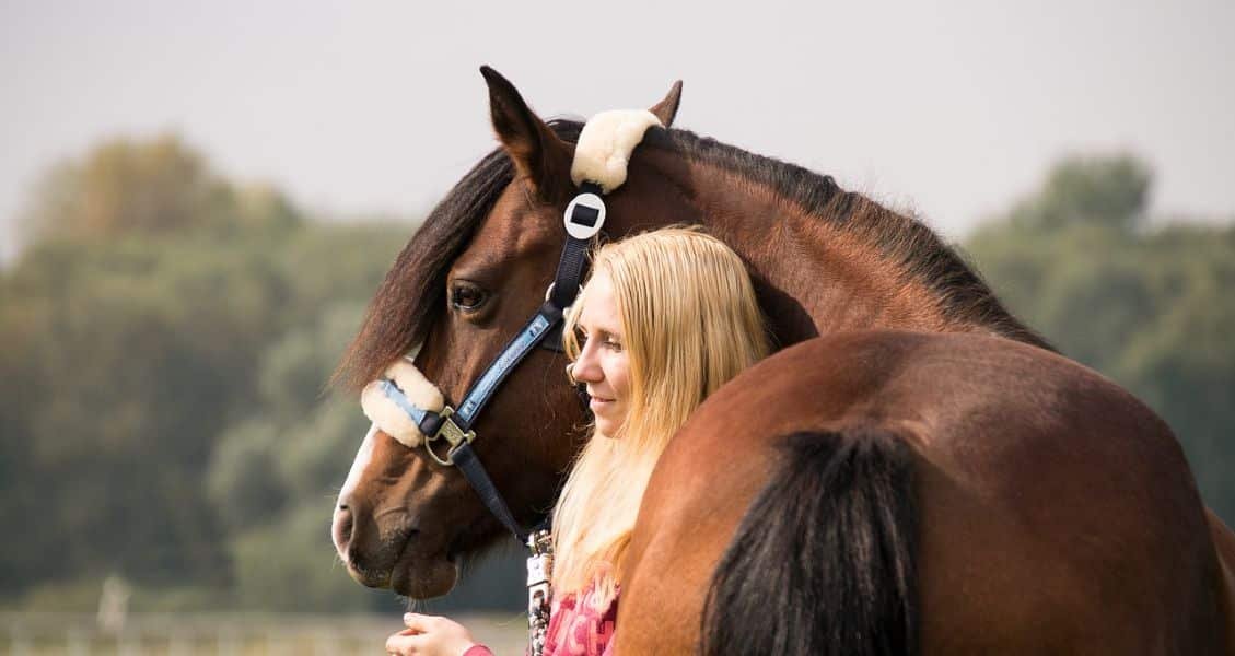 rêver de cheval affectueux 