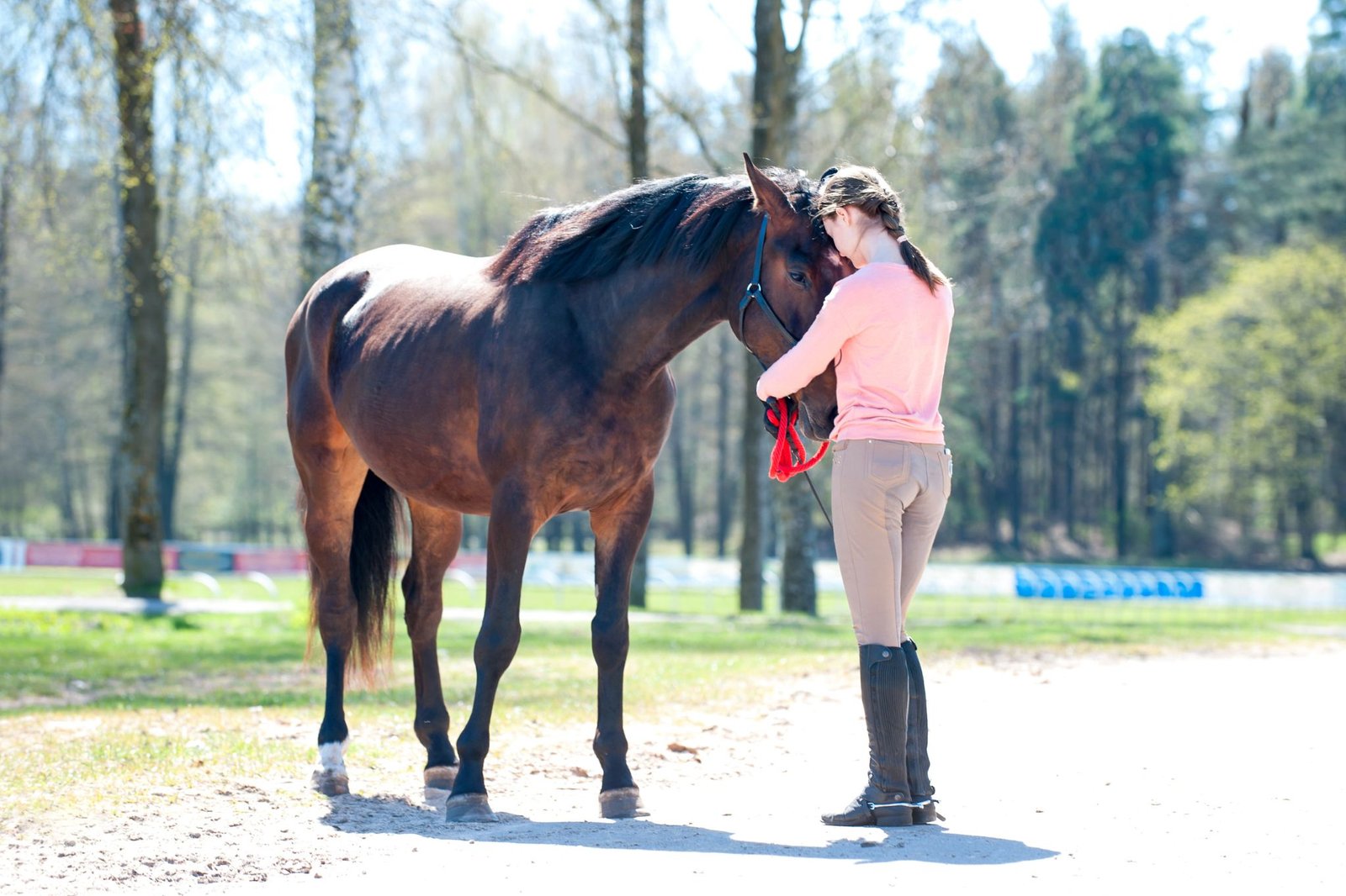 rêver de cheval affectueux 