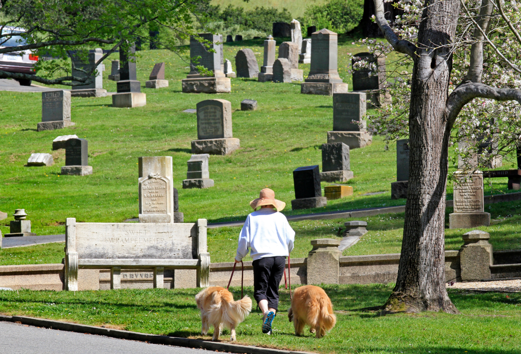 rêver de marcher dans un cimetière signification 